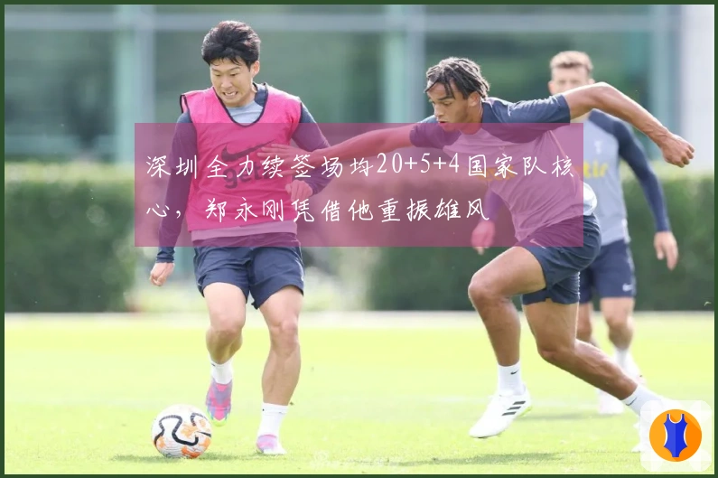 深圳全力续签场均20+5+4国家队核心，郑永刚凭借他重振雄风